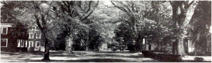 Photo from The Scroll 1949